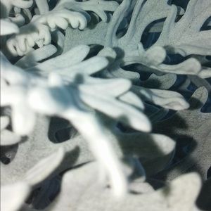 Meet your Posher, Abbey